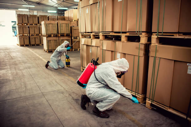 Best Pest Control Near Me  in Bernardsville, NJ