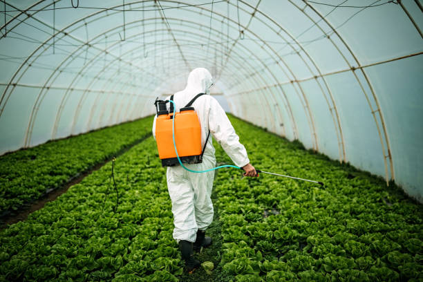 Pest Control Cost in Bernardsville, NJ
