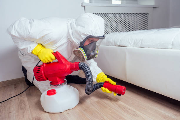 Best Local Pest Control Services  in Bernardsville, NJ