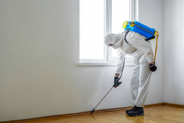 Flea Control Services in Bernardsville, NJ