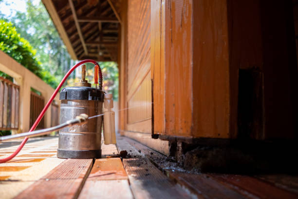 Best Exterminator Services  in Bernardsville, NJ