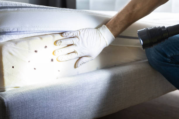 Best Pest Prevention Services  in Bernardsville, NJ
