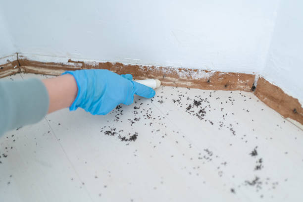 Bernardsville, NJ Pest Control Company