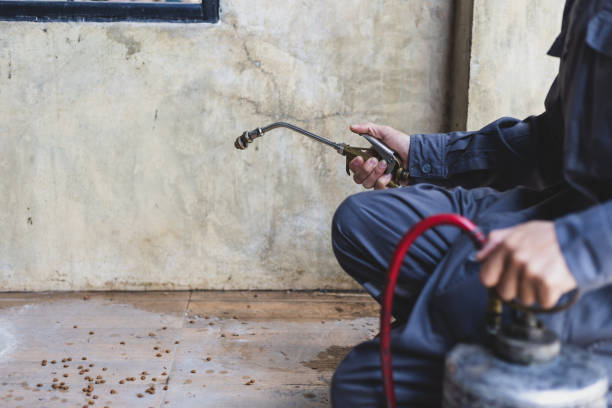Best Pest Control Cost  in Bernardsville, NJ